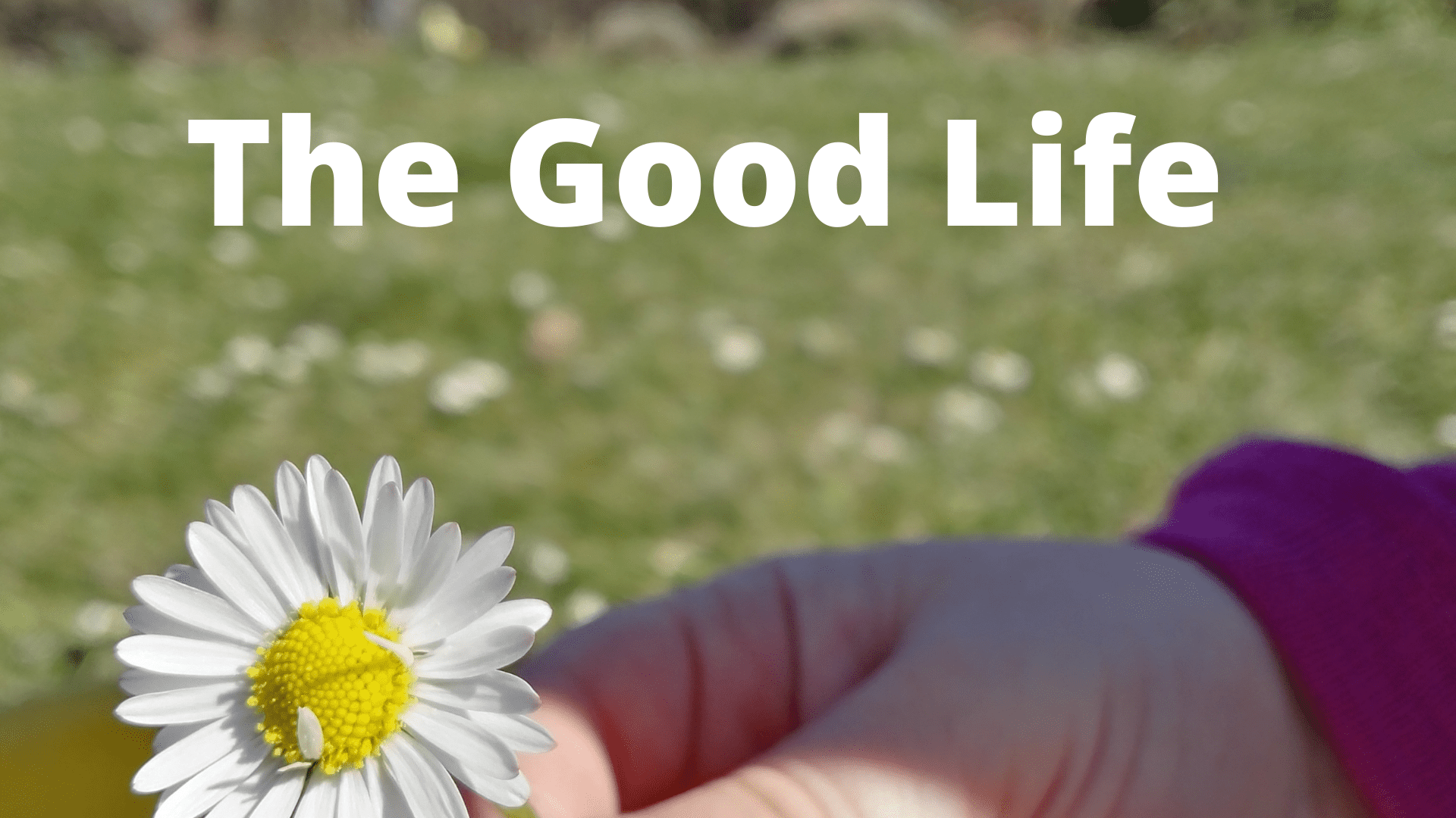 Featured image for “The Good Life”
