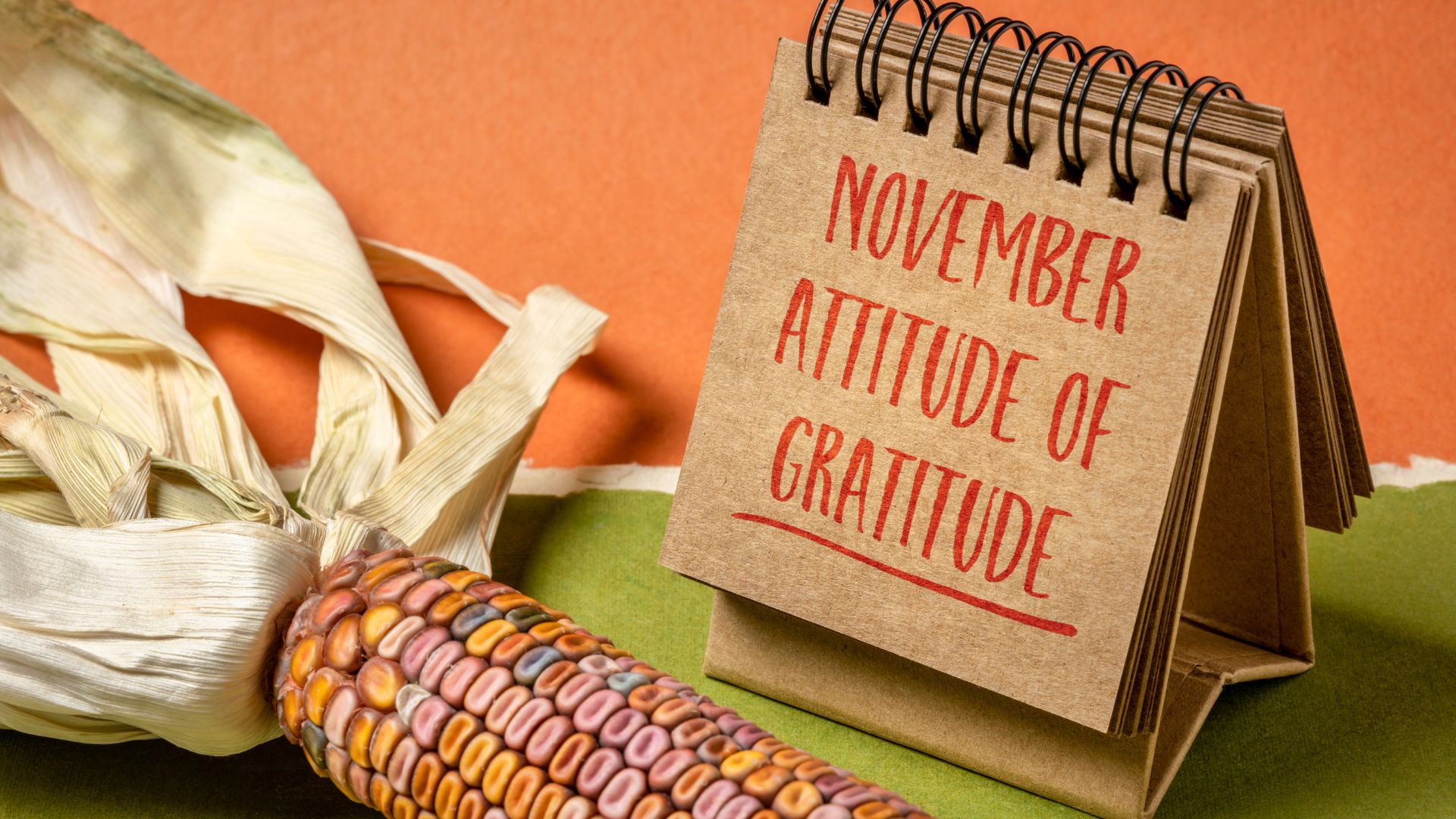 Featured image for “Attitude of Gratitude”