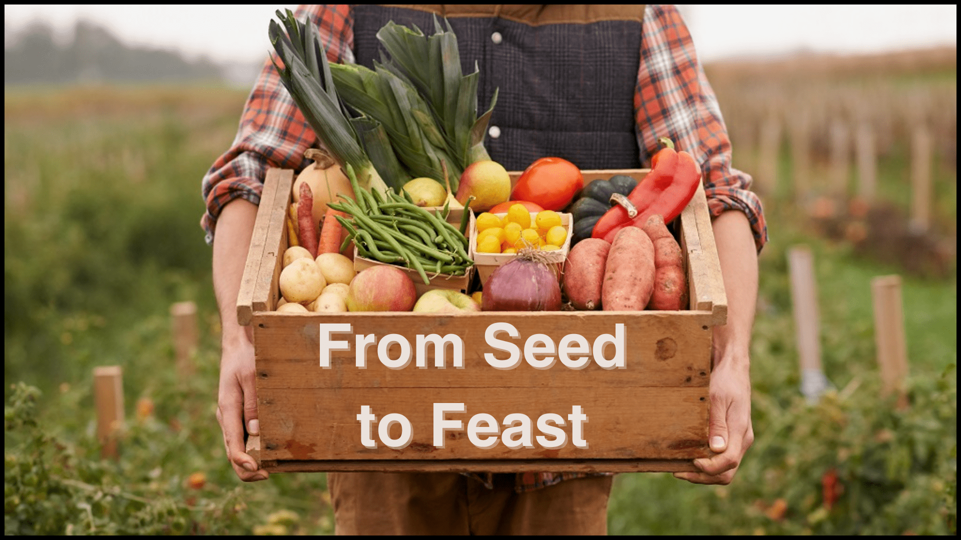 Featured image for “From Seed to Feast: Cultivating a Heart for Giving”