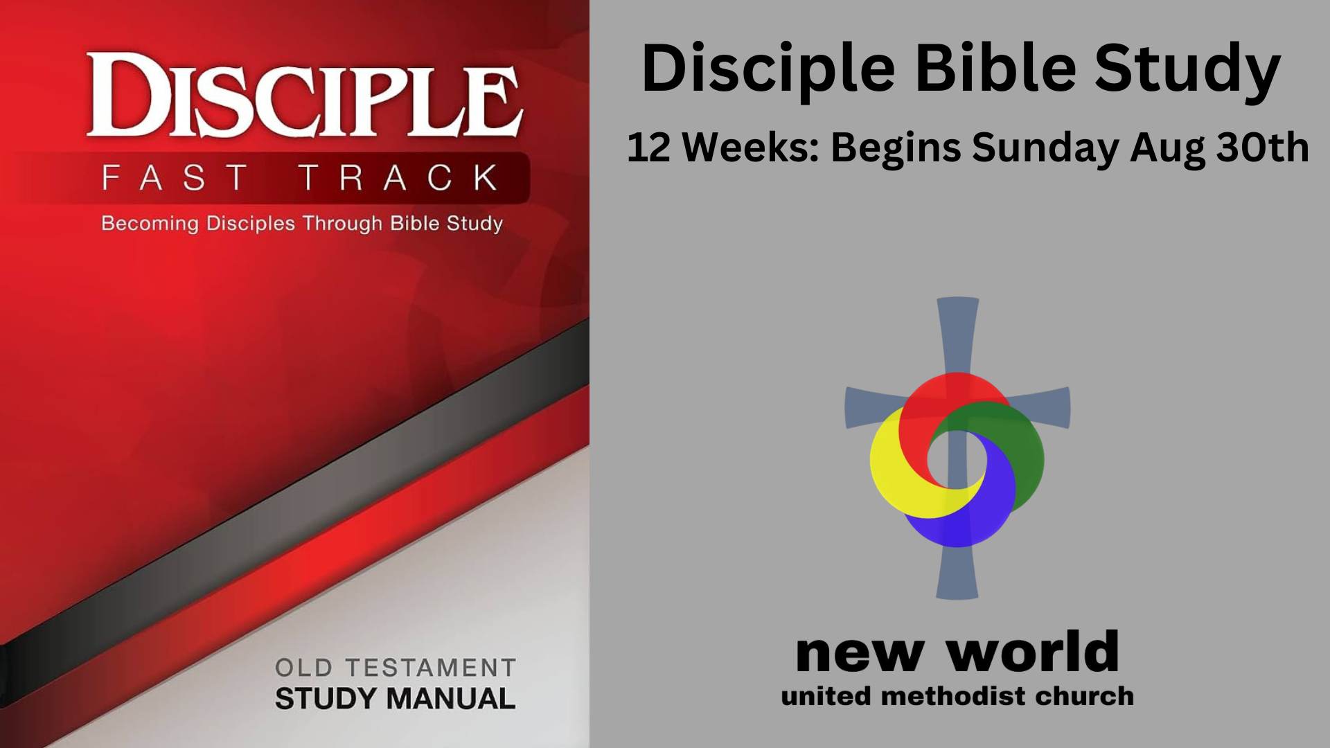 Featured image for “Disciple Study Series”